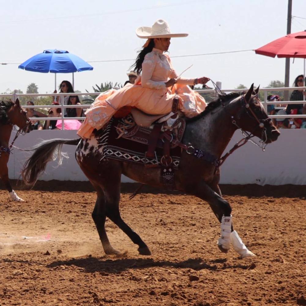 Meet your Posher, Sabrina